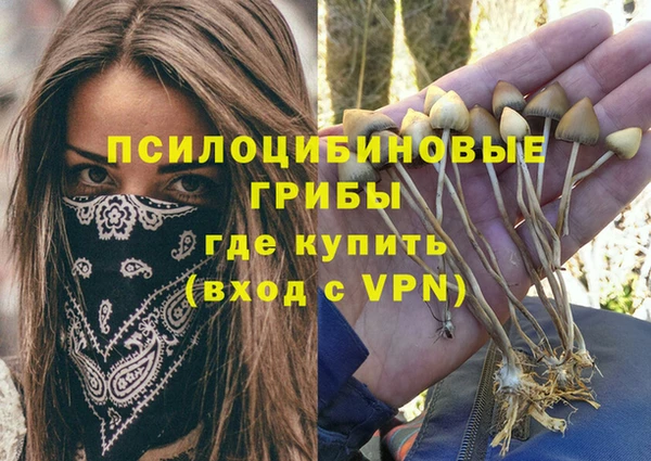 ALPHA PVP Алексеевка