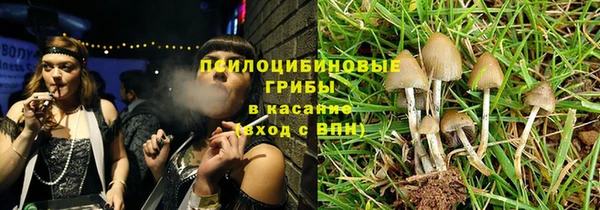 СК Алзамай