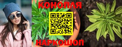 дмт Сибай