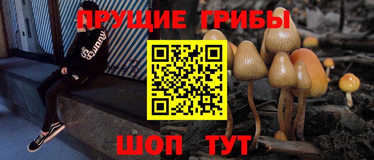 Псилоцибиновые грибы прущие грибы  Псилоцибиновые грибы MAGIC MUSHROOMS  Вход с VPN  Осинники 